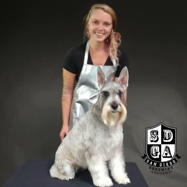 Images San Diego Grooming Academy