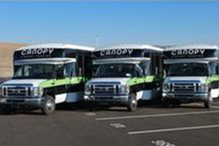 Canopy parking discount coupons