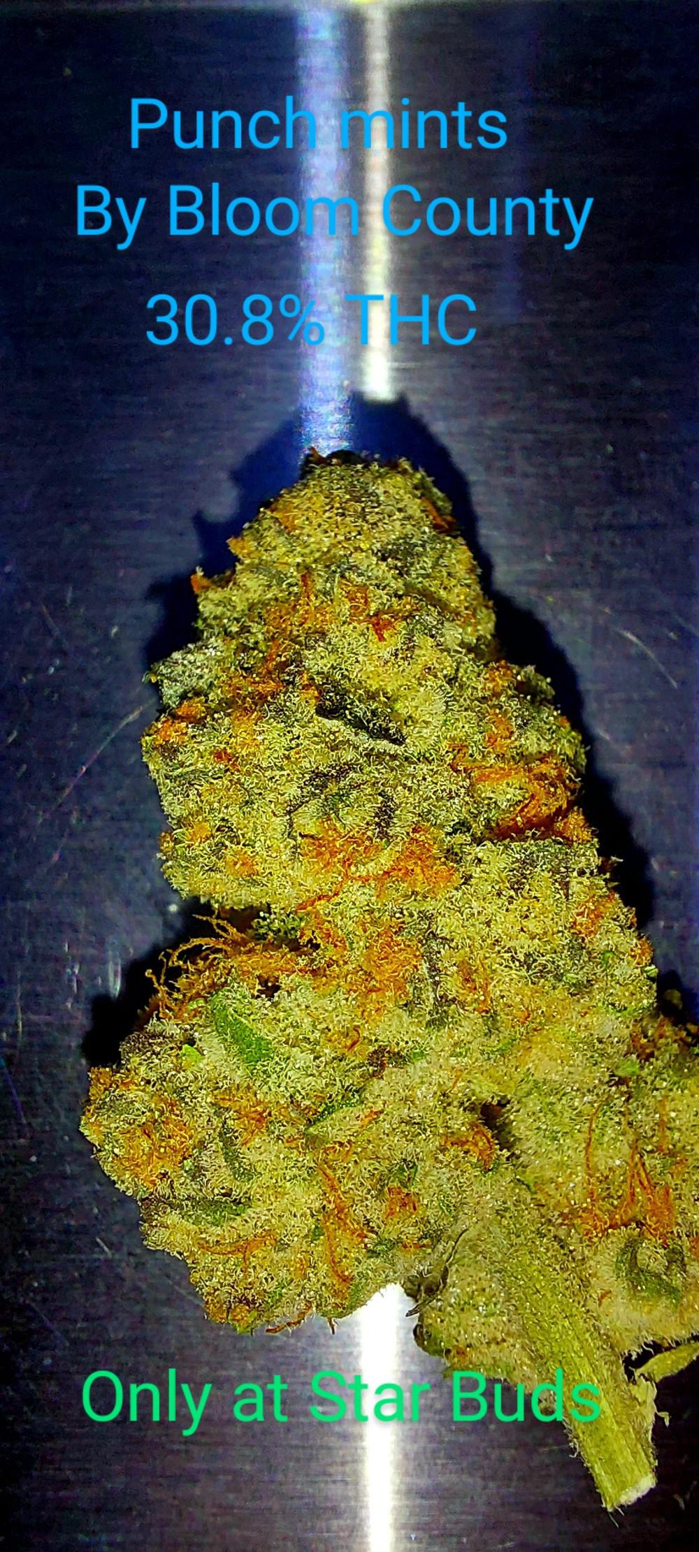 Star Buds DU Recreational Marijuana Dispensary at E Evans Ave
