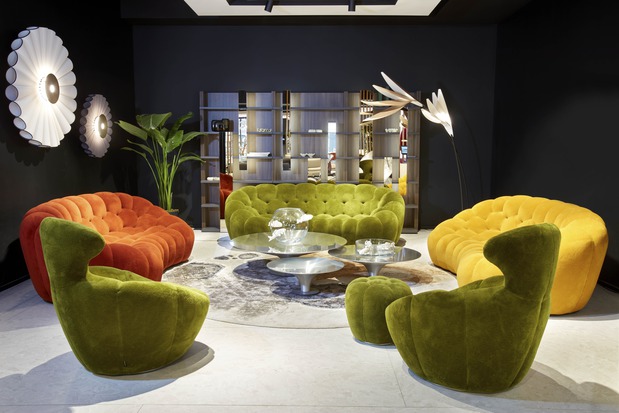 Images Roche Bobois