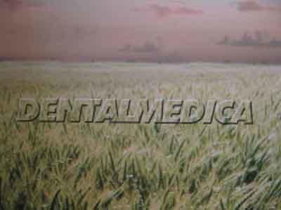 Images Dental Medica