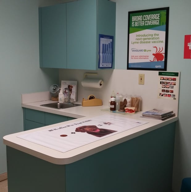 Images North Collier Animal Clinic