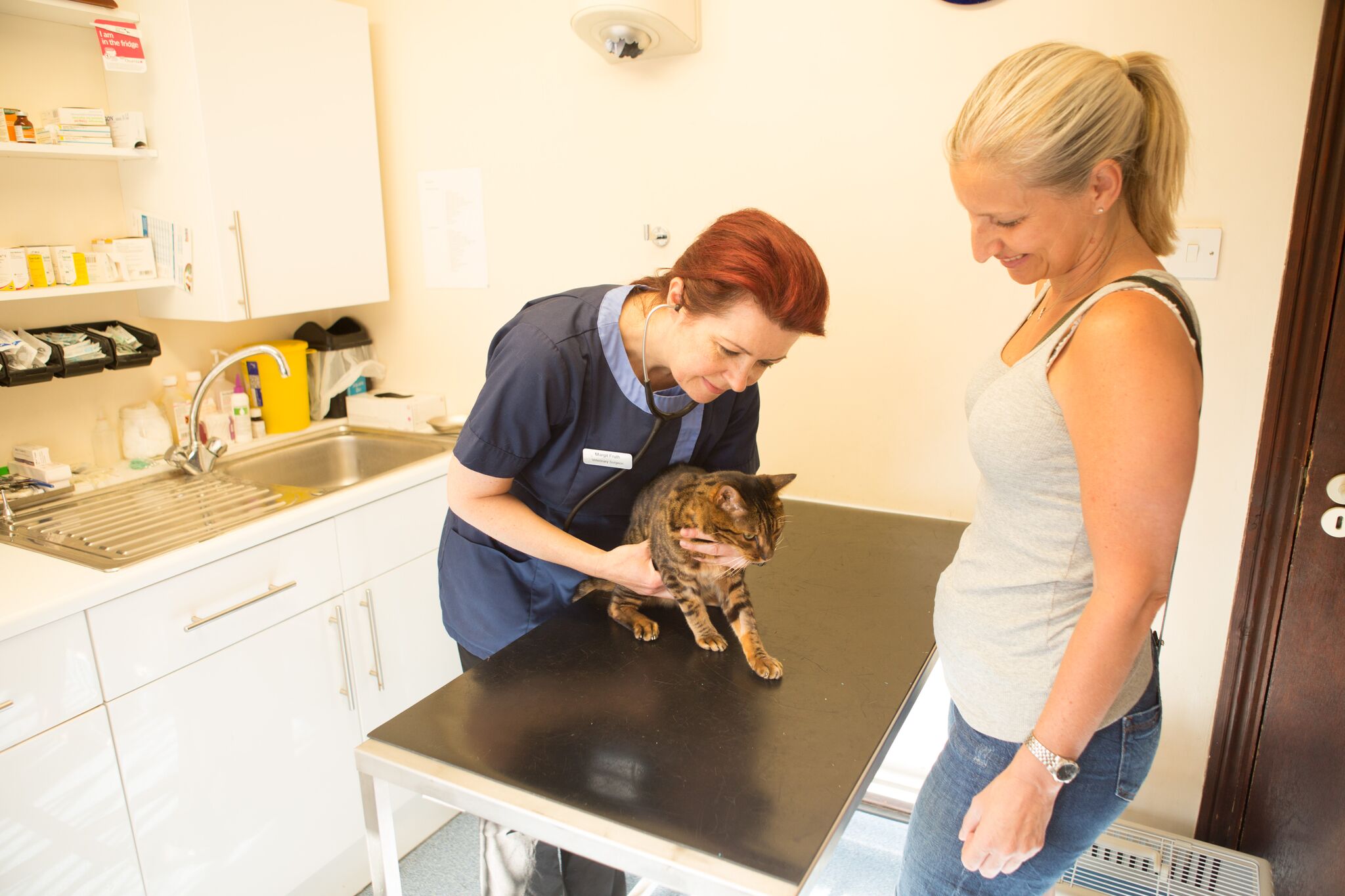 Images The Animal Clinic