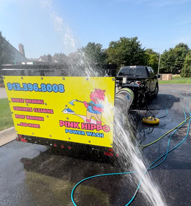 Images Pink Hippo Power Wash