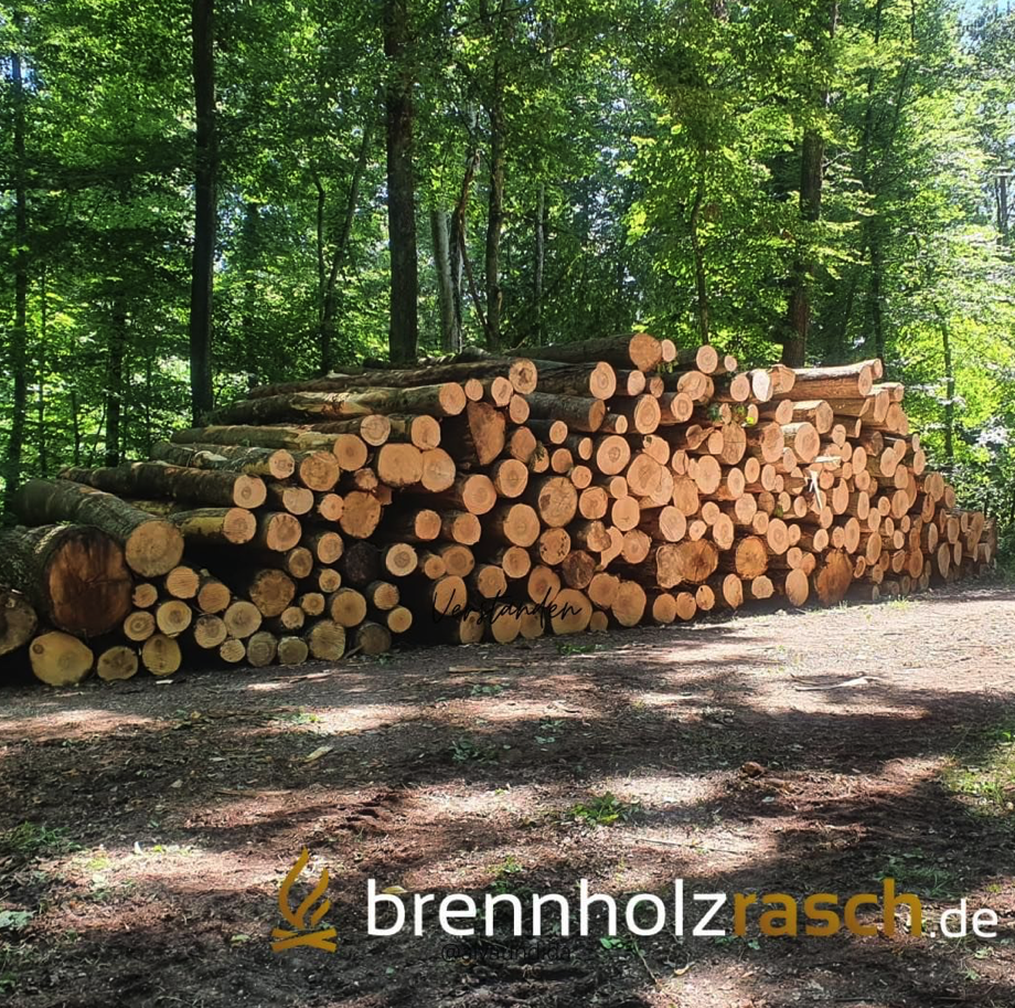 Kundenbild groß 5 brennholzrasch.de