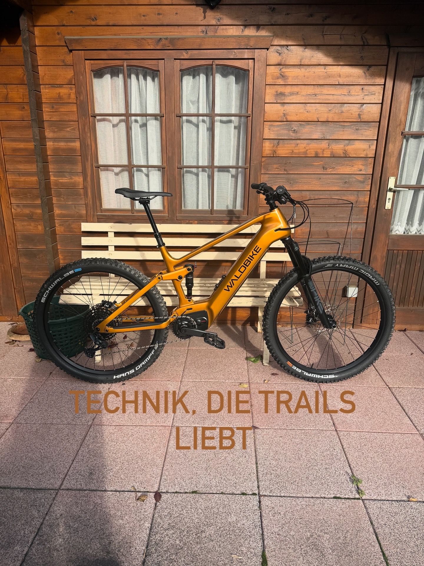 Bilder RadOase Dresden - Fahrradladen mit Herz