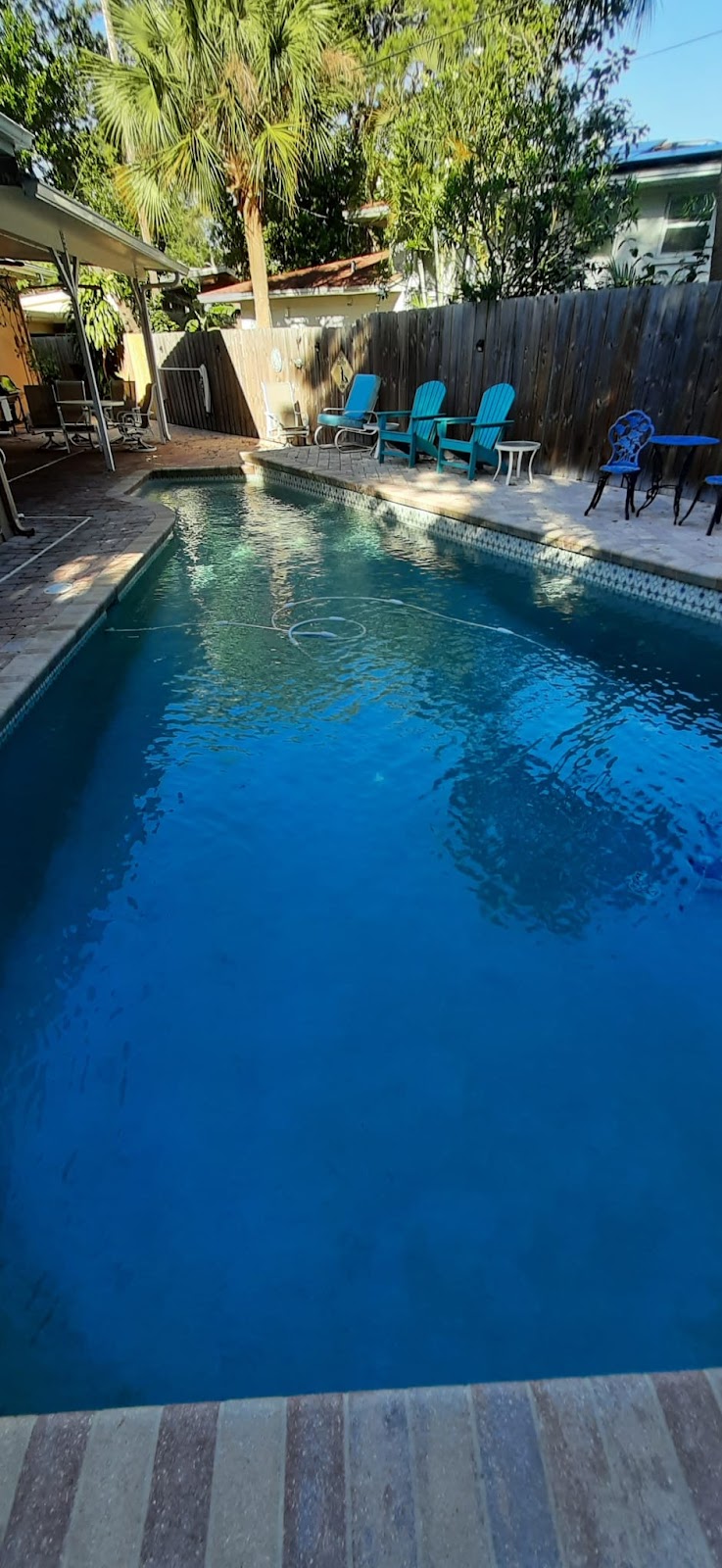 Long residential backyard swimming pool with deep blue water, shaded landscaping, and lounge chairs along the poolside.