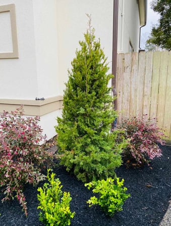 Images D&G Landscaping & Design