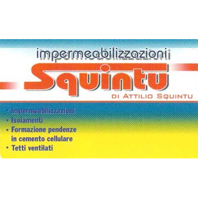 Impermeabilizzazione Edile Attilio Squintu Logo