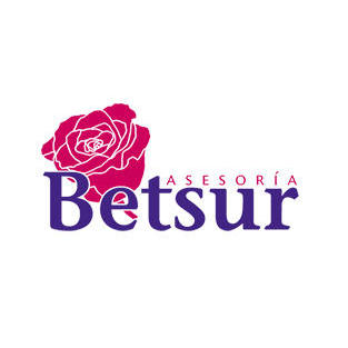 Betsur S.L. Logo