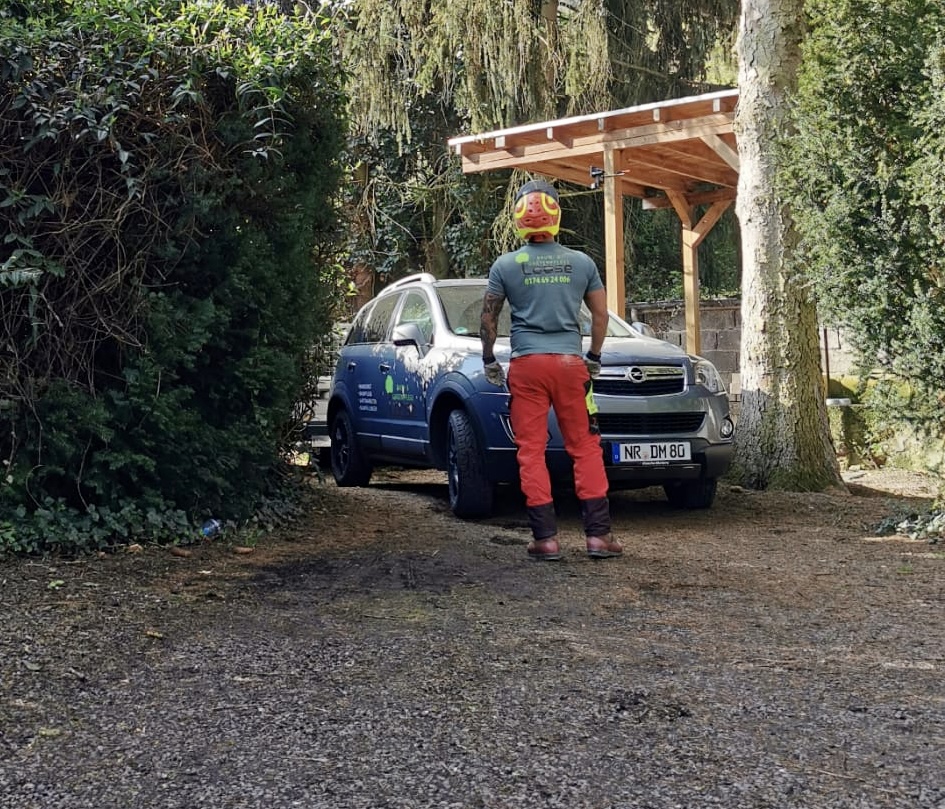 Baum- & Gartenpflege Loose in Melsbach