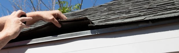 Images Roof Management Systems