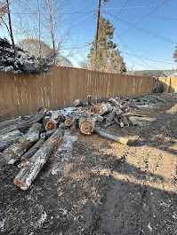 FILI Tree Expert & Landscaping LLC Image