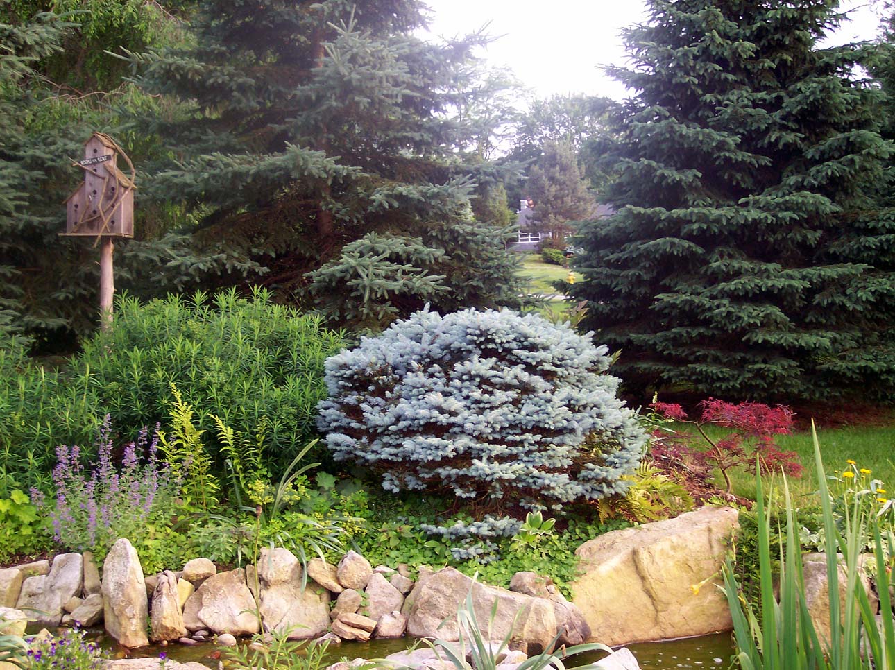 Streamline Lawn & Landscape
