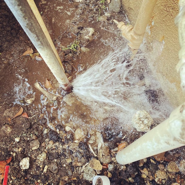 Images Cal Pro Plumbing Inc