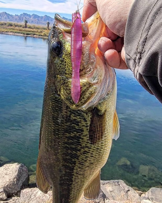 Images Copperstate Tackle