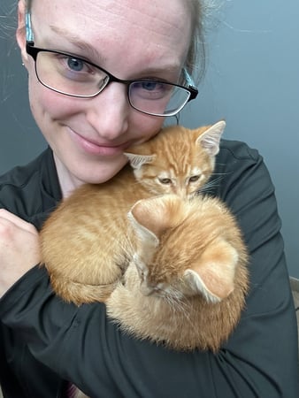 Images VCA All Pet Animal Hospital/Taylorsville
