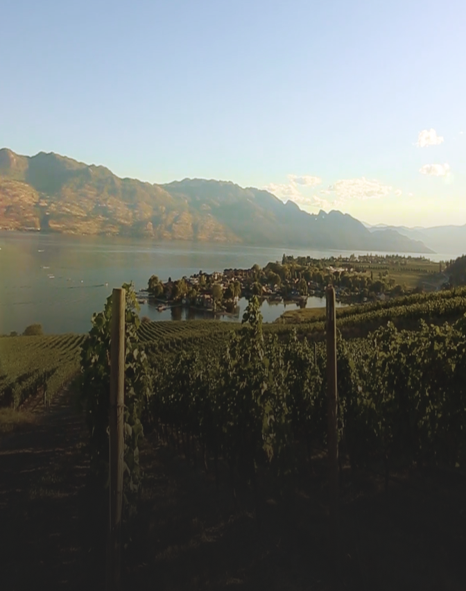 A winery in the Okanagan Valley.