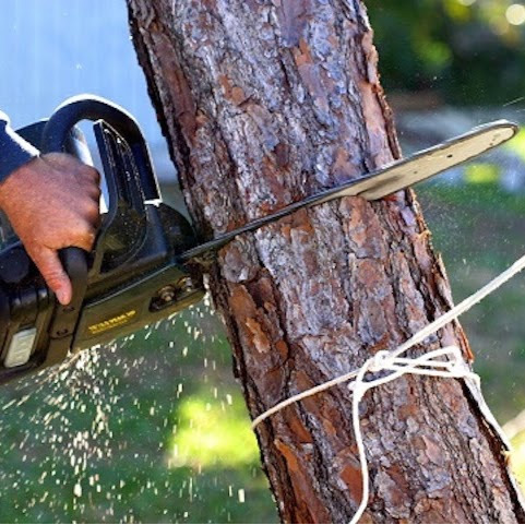Adams Tree Service LLC