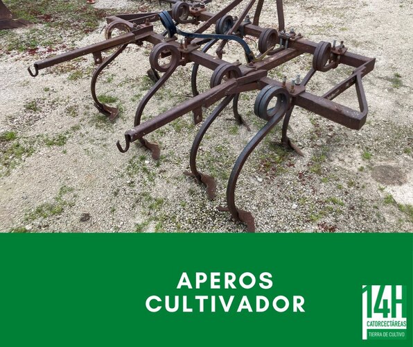 Images Catorcectáreas