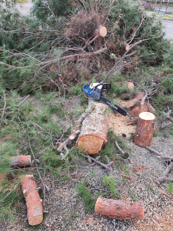 Images Pony Multiservice di Isidoro Agostino