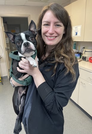 Images VCA Smoketown Animal Hospital