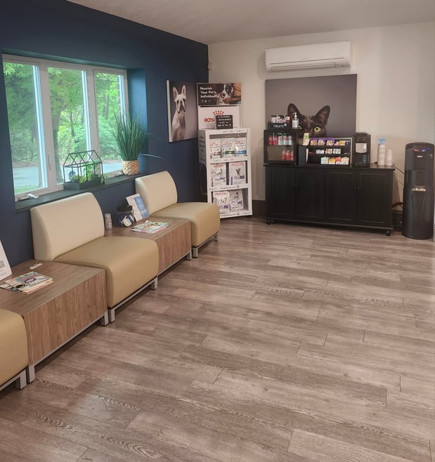 Images VCA AVH Animal Hospital