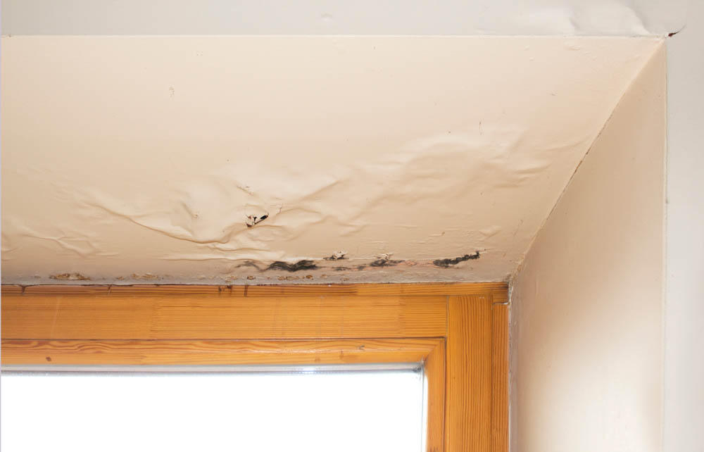 There is no loss that our SERVPRO of Ozone Park/Jamaica Bay in Howard Beach, NY can't handle, no matter how big or small! For fire, water, and mold damage cleanup and restoration needs, contact the disaster restoration experts today!