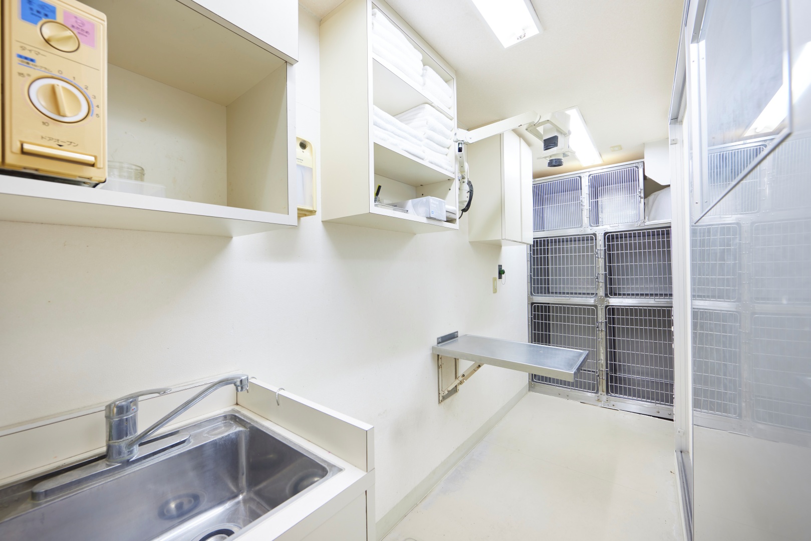 Images 江島動物病院 PAL動物病院グループ