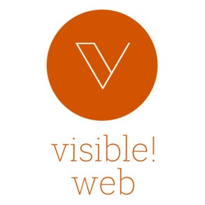 visible web in Braunschweig - Logo