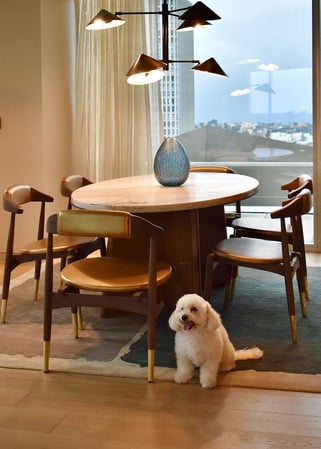 Images Conrad Los Angeles