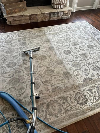 Images Apex Professional Cleaning Systems