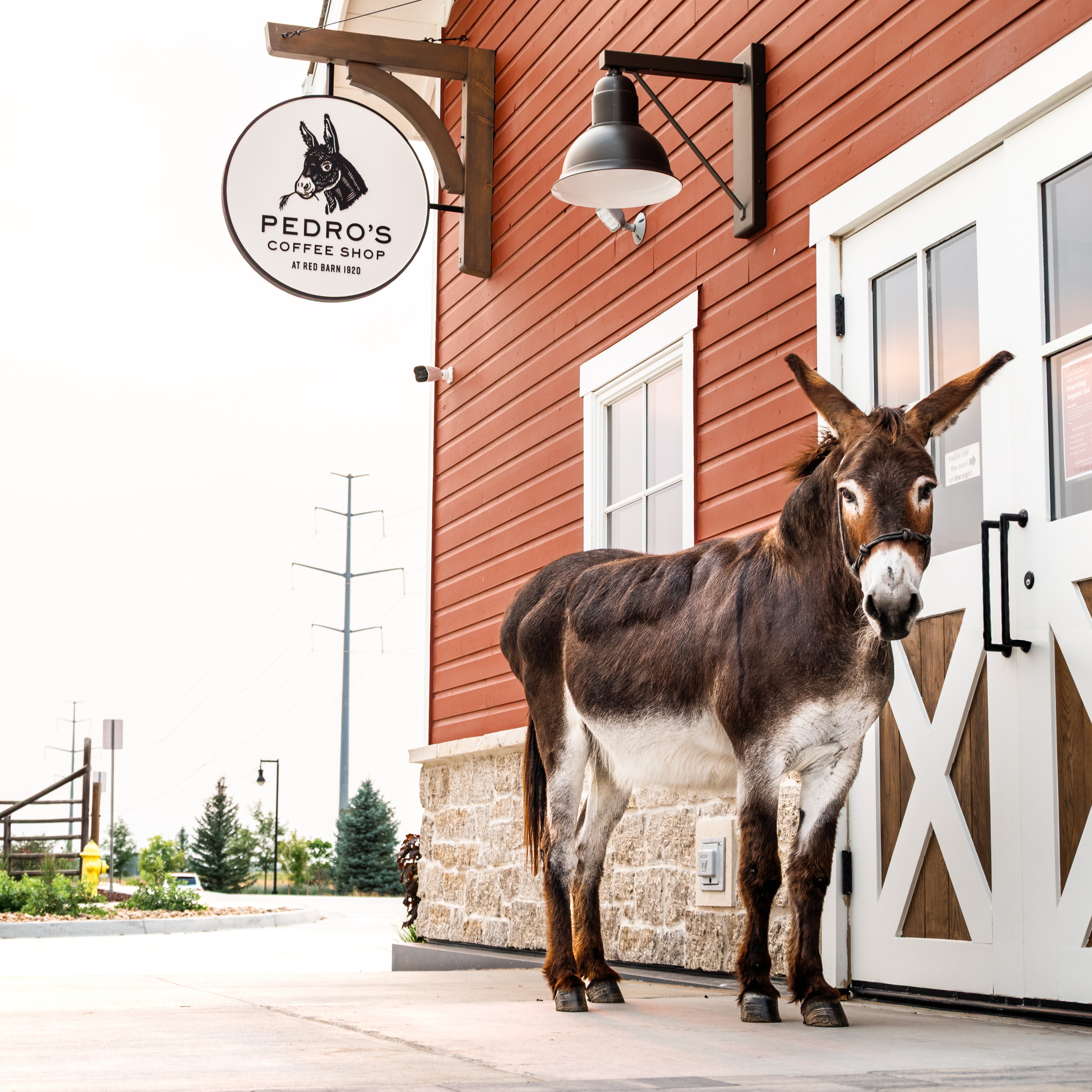 Pedro's Coffee Shop Image