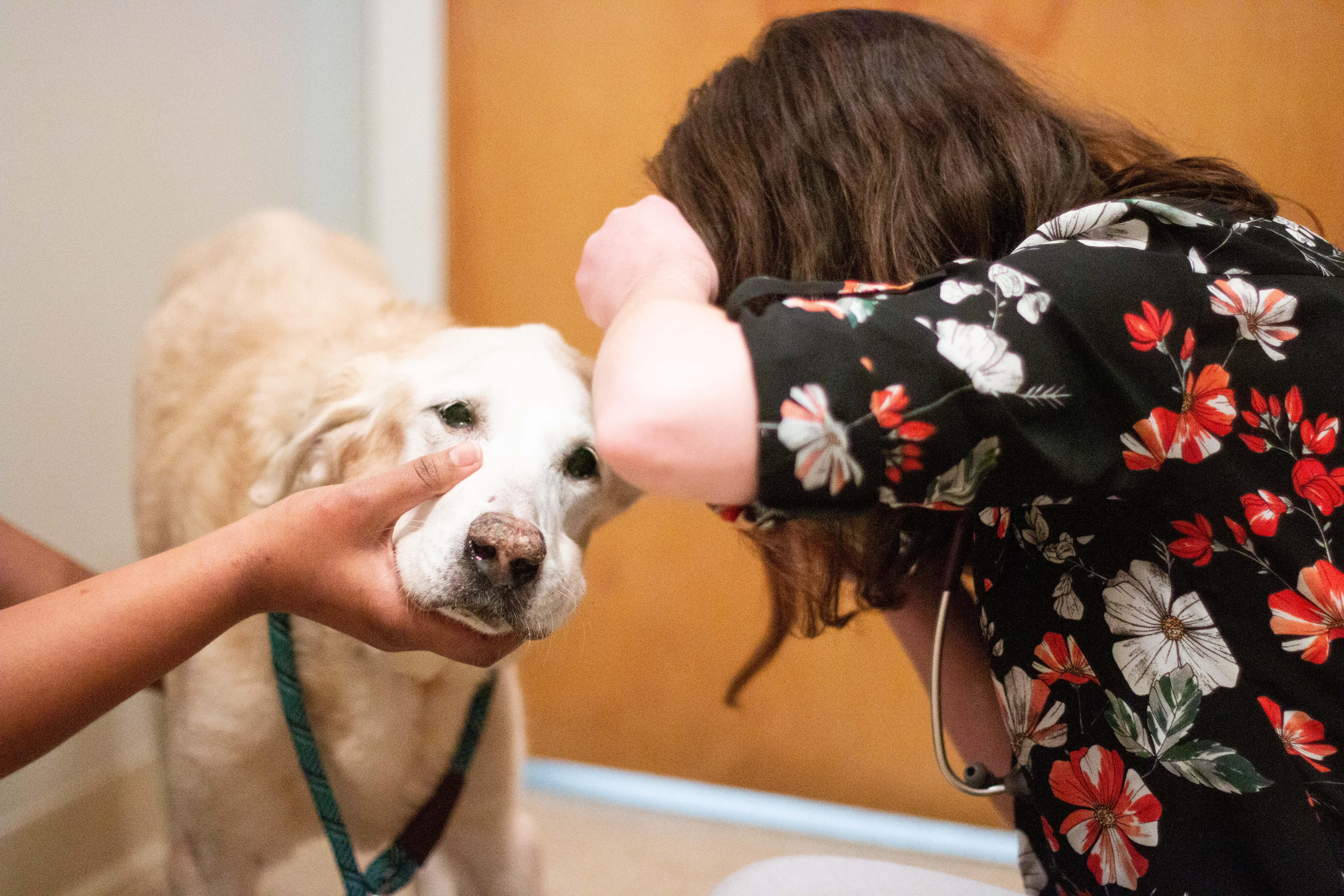 TotalBond Veterinary Hospital at Paw Creek Photo