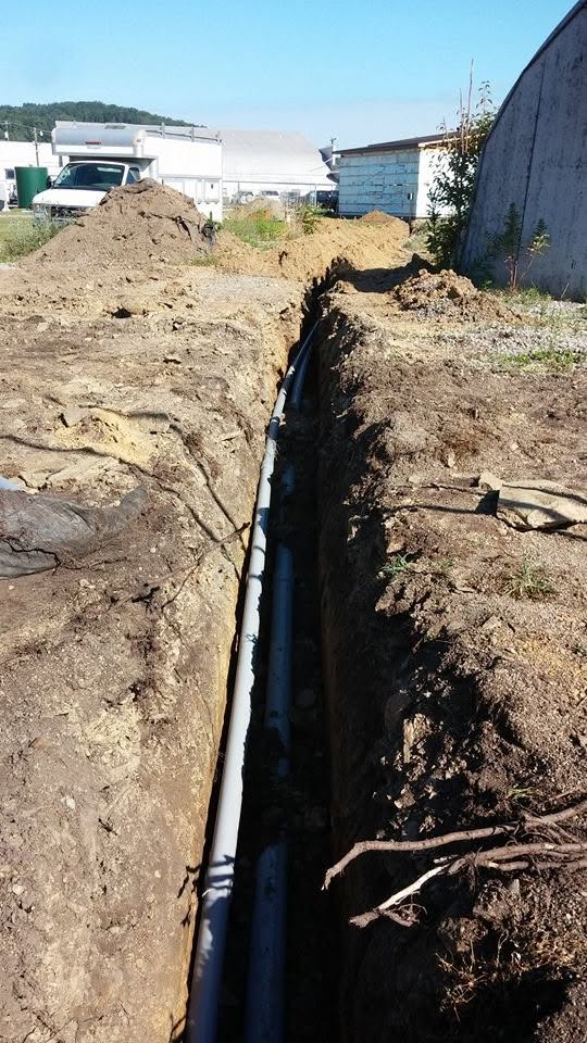 Webber's Electric Image