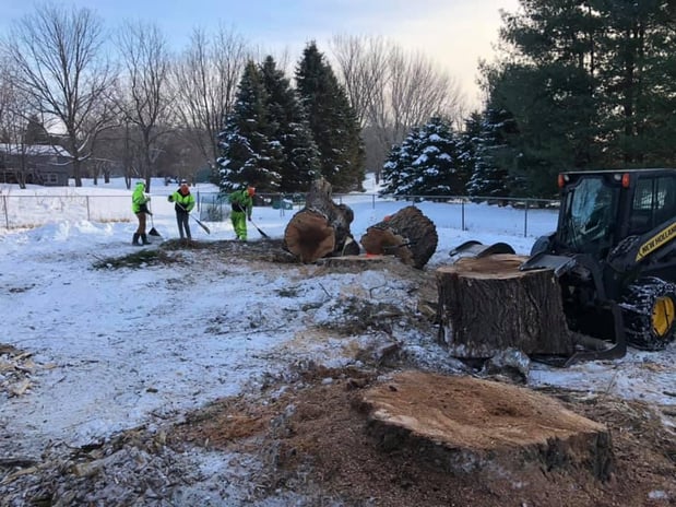 Images JCE Tree Service