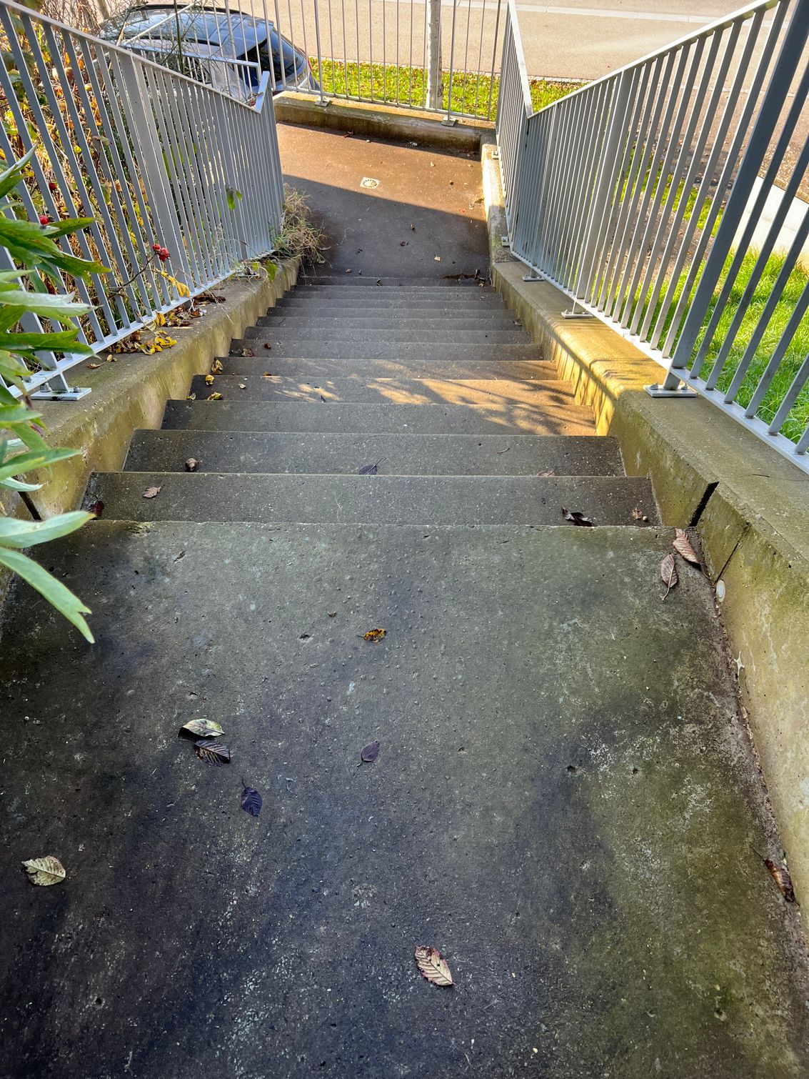 Bilder Gebäudereinigung RUPPANNER Hauswartungen KECKEX.swiss