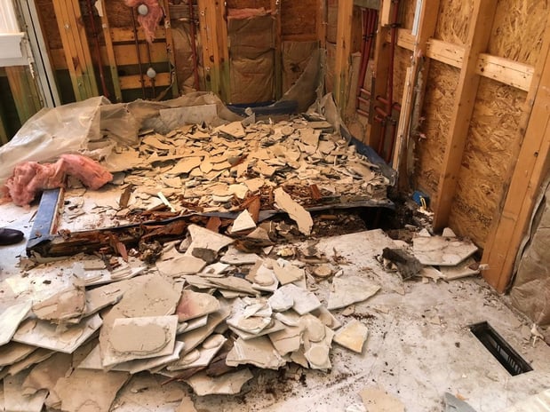 Images Charleston Termite Repair Specialists