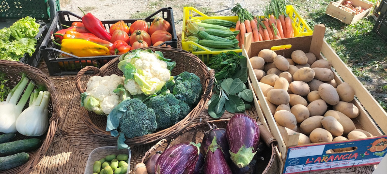 Images Azienda Agricola e Fattoria Didattica Nel Giardino di Tamara