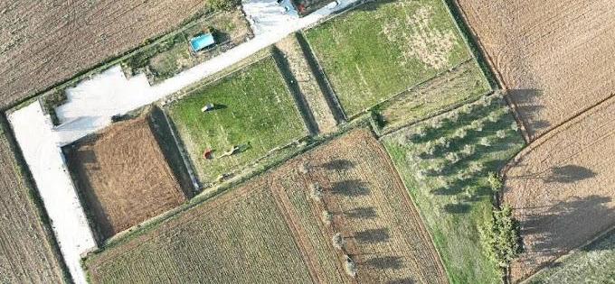 Images Funny Dog di Cascioli Leonardo - Educazione, Sport e Pensione per Cani