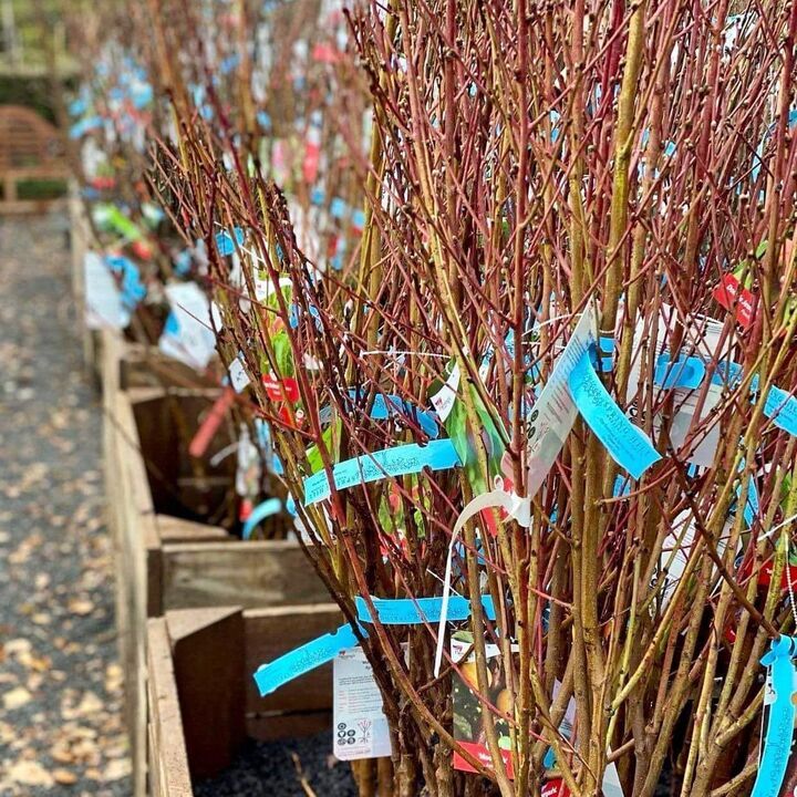 Images Cooma H Hardware