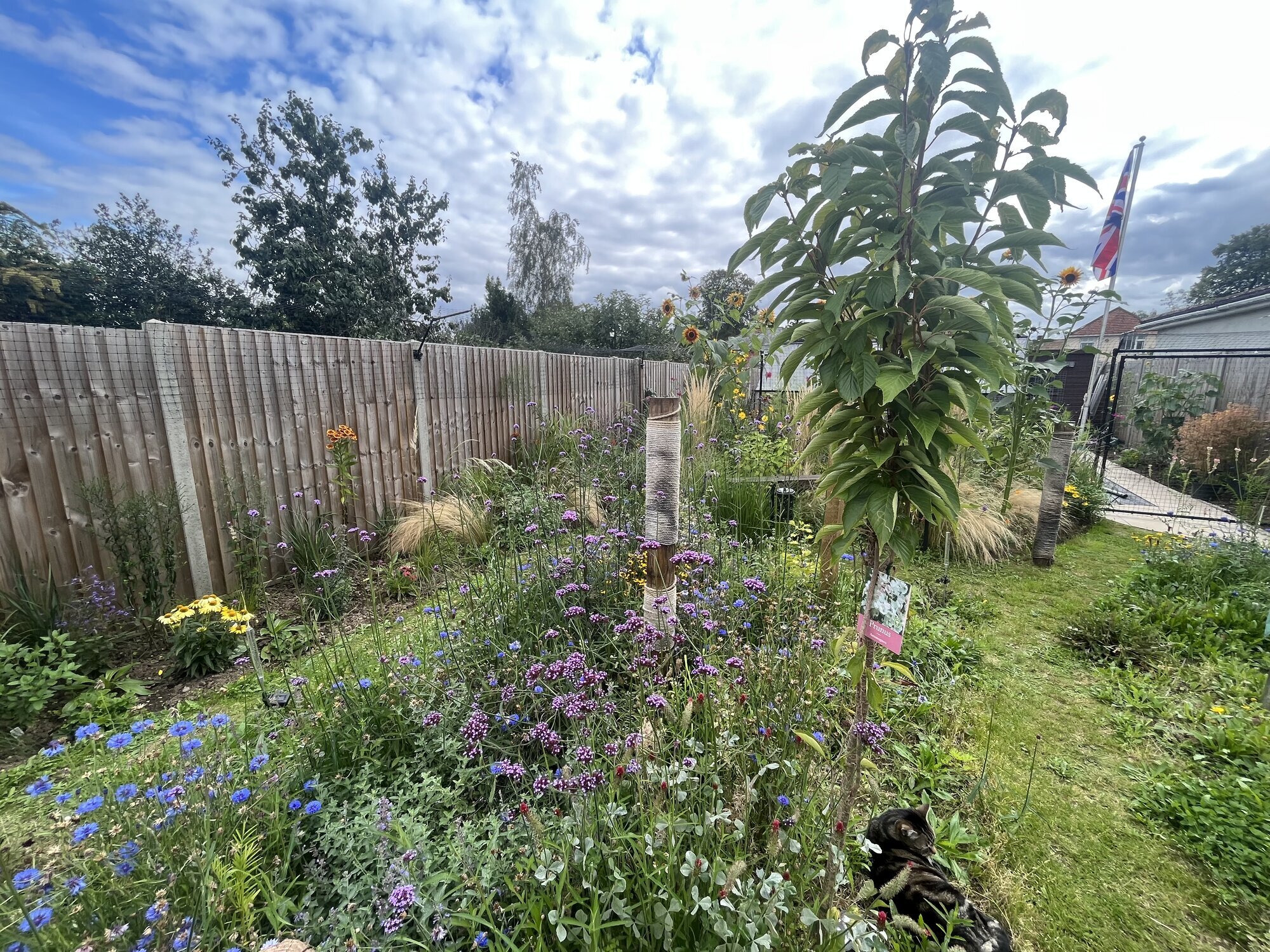 Images Steve Dean Gardening