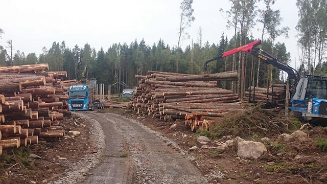 Images Struppkärrs Skog AB