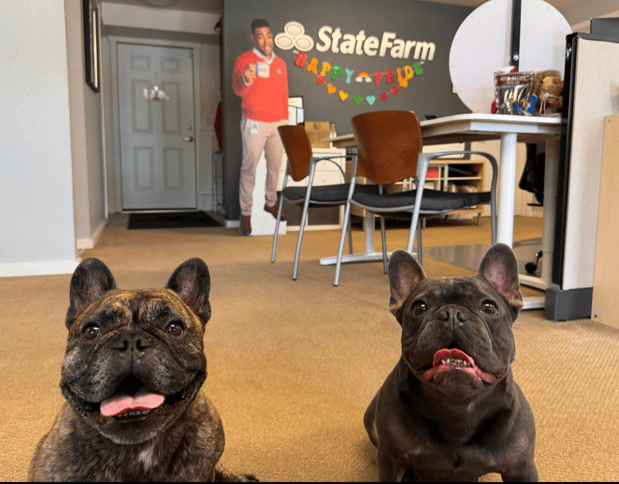 Images Amber Trott - State Farm Insurance Agent