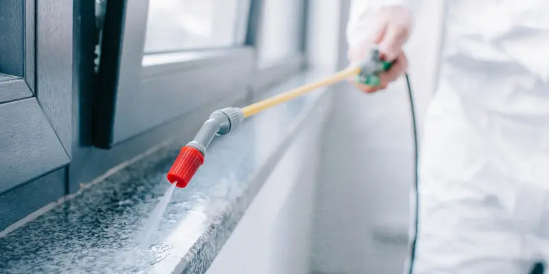 Our team offers expert commercial pest control services to keep your business free of unwanted visitors.