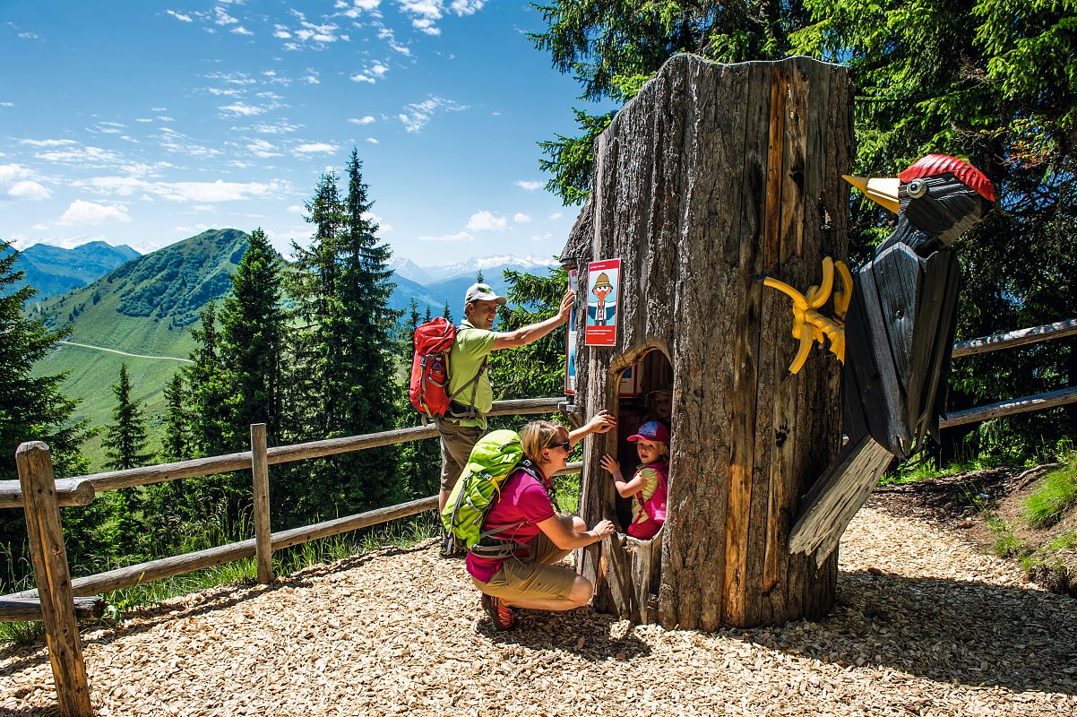 Bilder Bergbahnen Westendorf GmbH