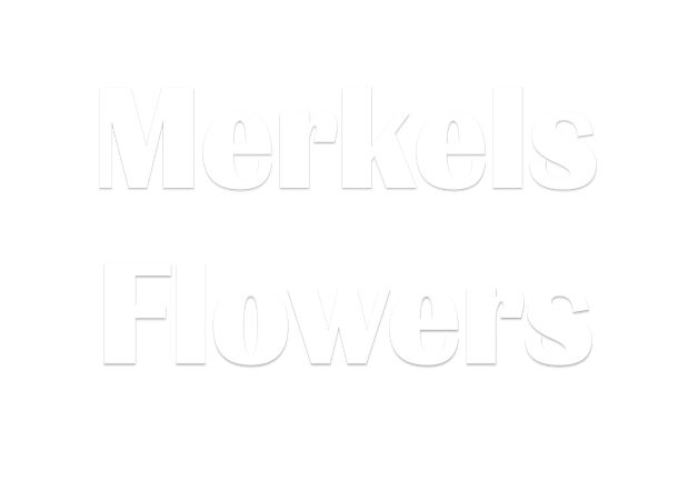 Images Merkels Floral Studio