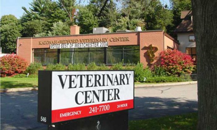 Images Katonah Bedford Veterinary Center