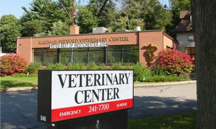 Katonah bedford hot sale veterinary hospital