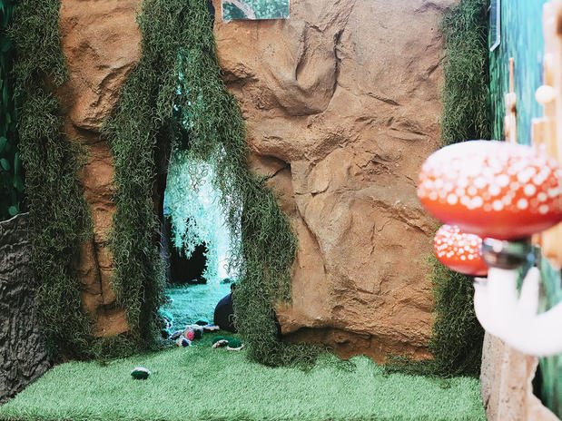 Images Sensory Innovations & Breslin Occupational Therapy Services